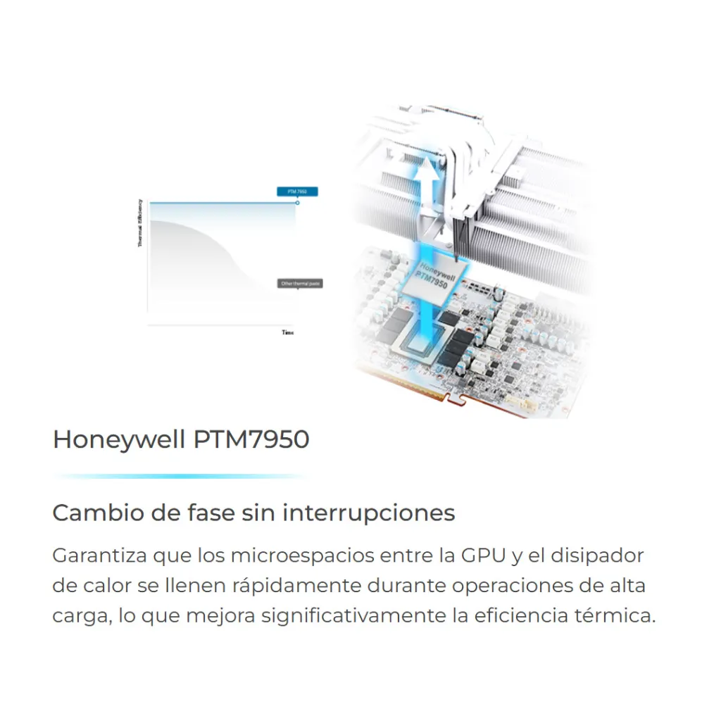 03565_7.webp