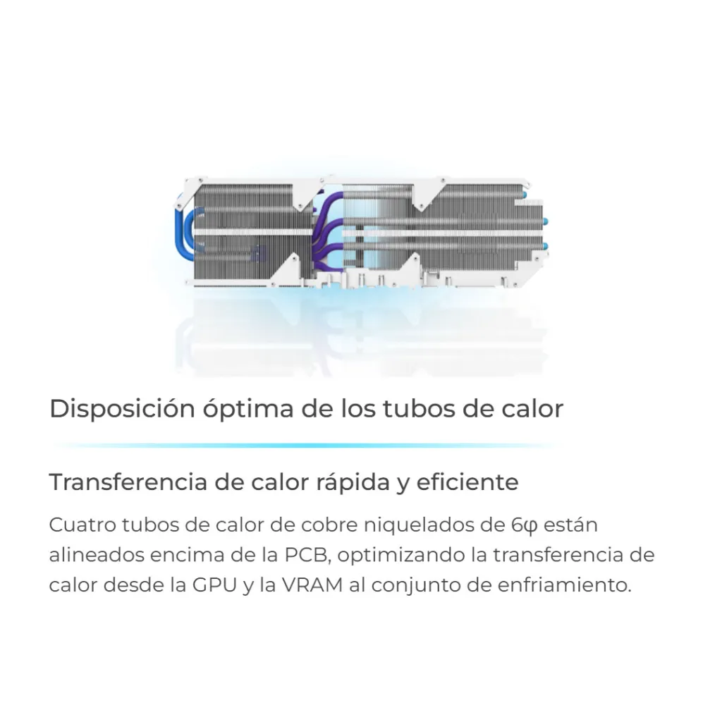 03565_8.webp