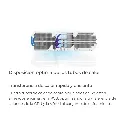 03565_8.webp