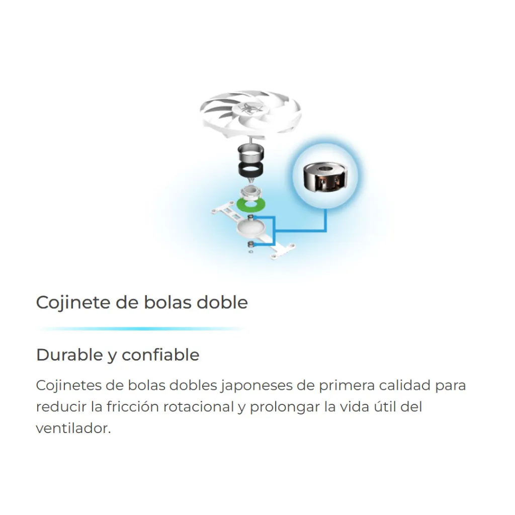 03565_54.webp
