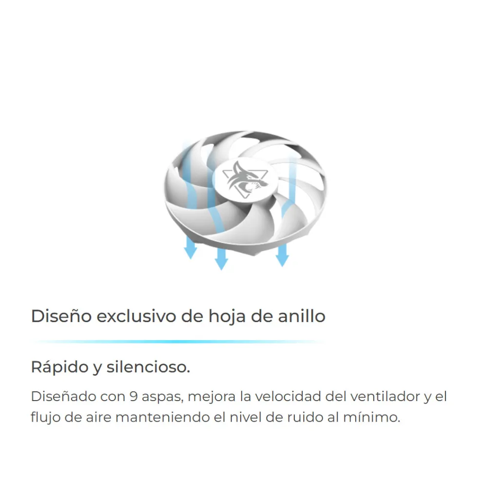 03565_4.webp