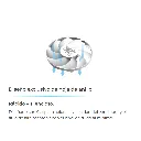 03565_4.webp