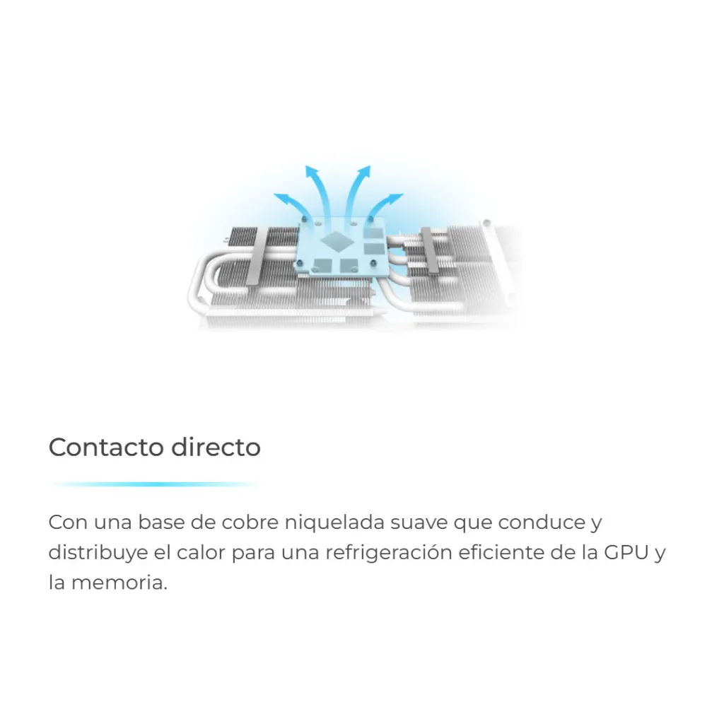03565_9.webp