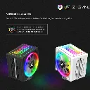 00778_7.webp