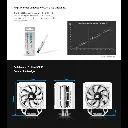00778_9.webp