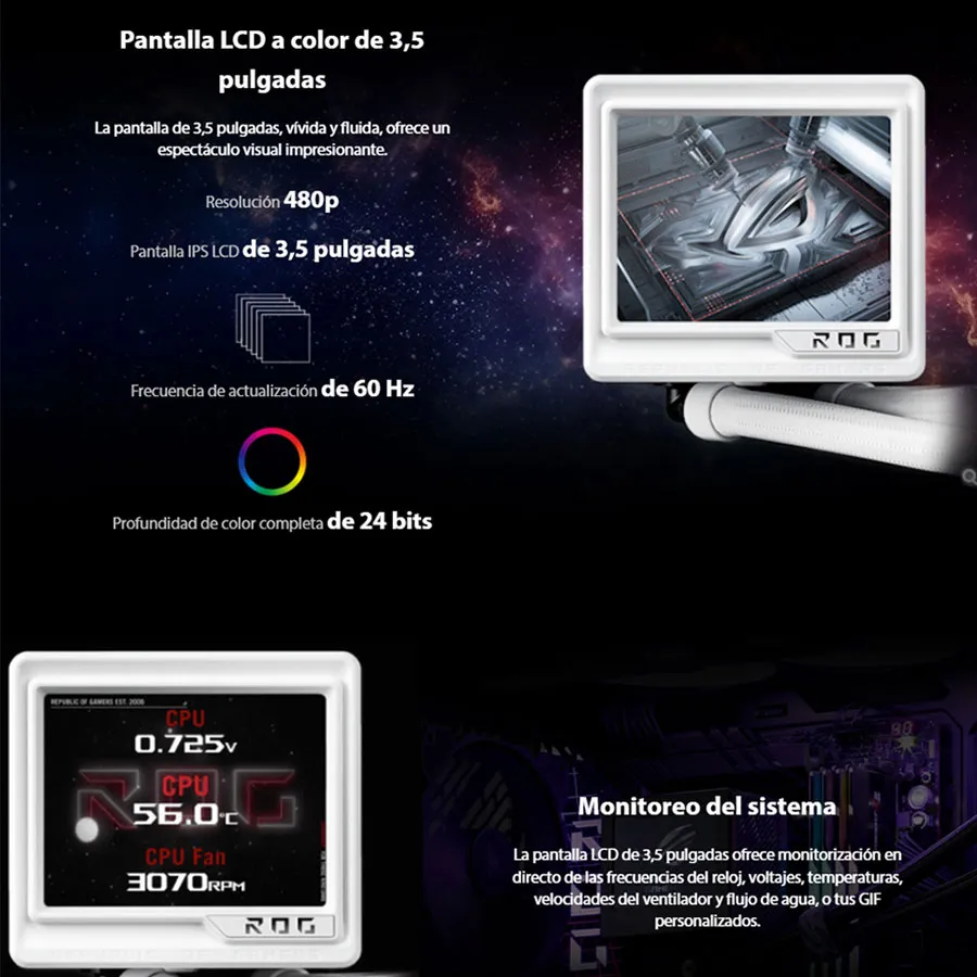 03585_5.webp