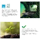 03867_4.webp