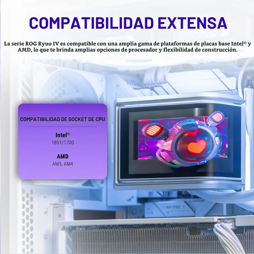 03876_.webp