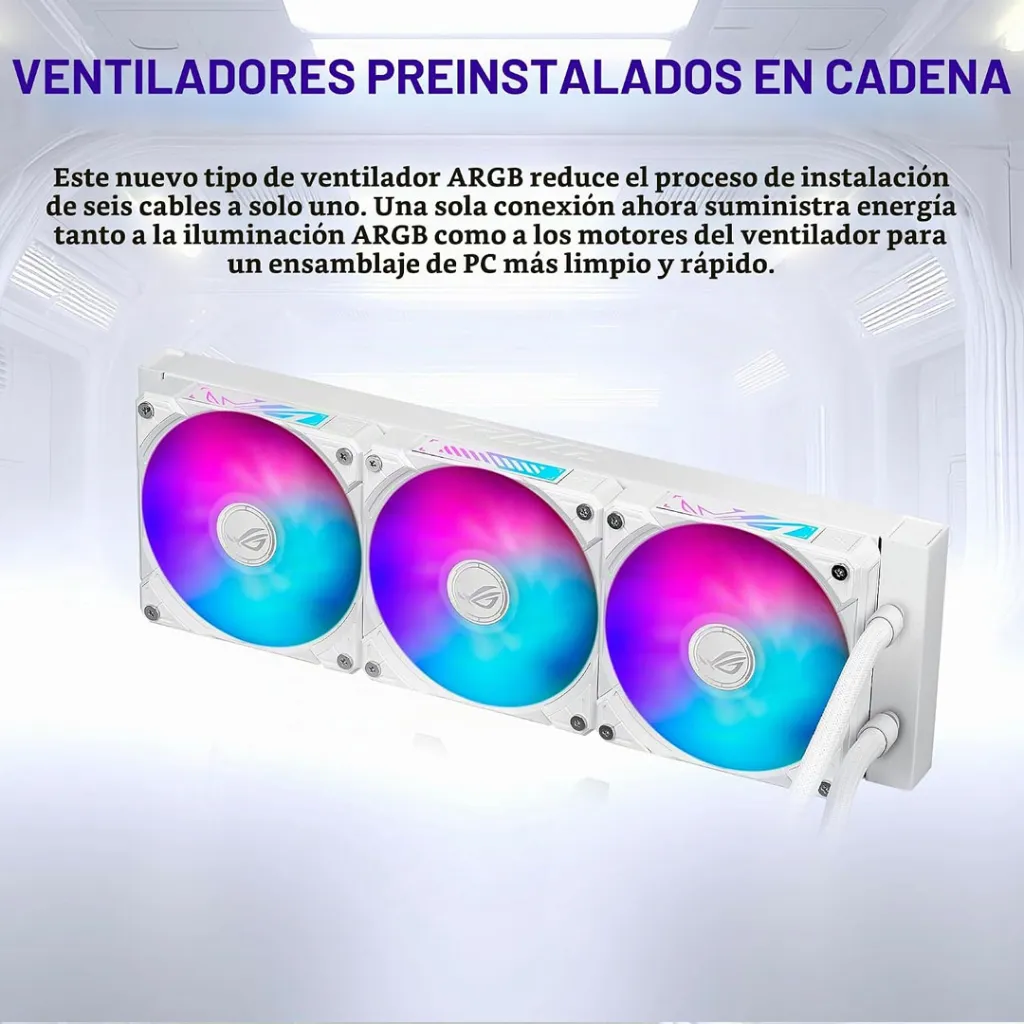 03876_3.webp