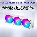 03876_3.webp