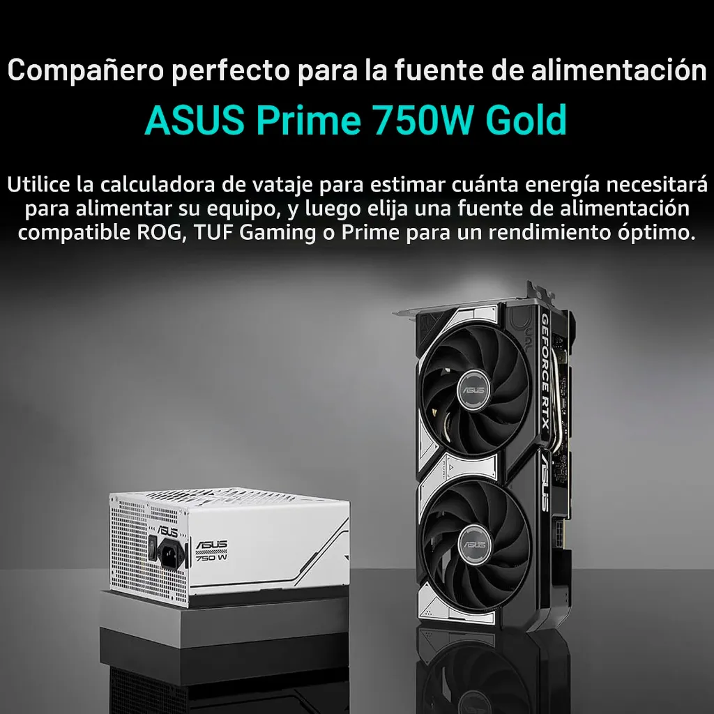 03962_4.webp