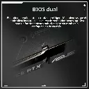 03962_5.webp