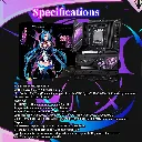 03975_2.webp