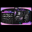 03975_10.webp