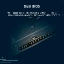 03991_6.webp