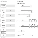 fuente-de-poder-fsp-twins-pro-900w-80-gold-fsp900-50reb (2).webp